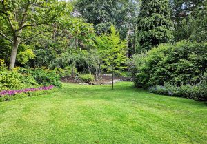 Optimiser l'expérience du jardin à Beauregard-de-Terrasson